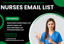 Exploring the Effectiveness of Marketing Strategies for Nurse Email List in B2B Healthcare Marketing