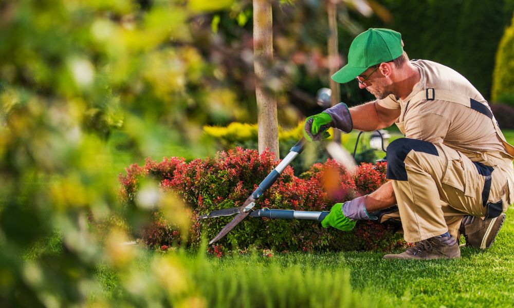 How to Choose the Right Landscape Contractor for Your Project