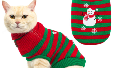 DIY Xmas Sweaters for Cats: Easy and Fun Craft Ideas