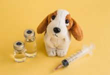 Essential Pet Vaccinations in NYC