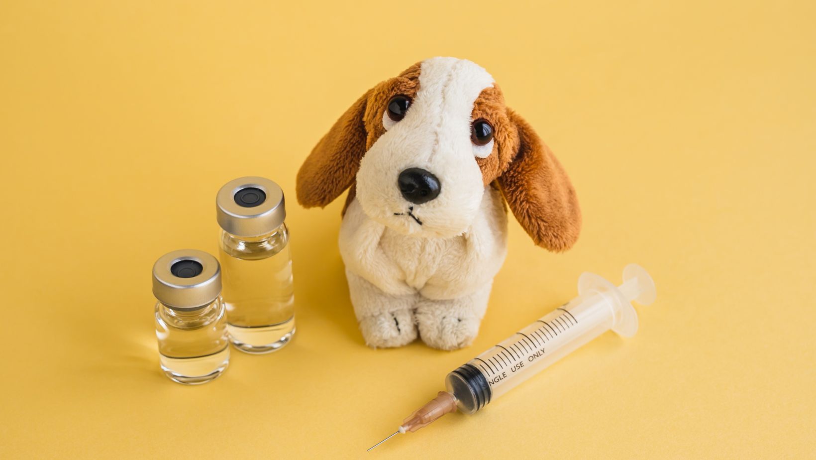 Essential Pet Vaccinations in NYC